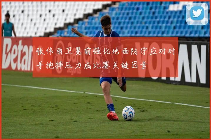 张伟丽卫冕前强化地面防守应对对手抱摔压力成比赛关键因素