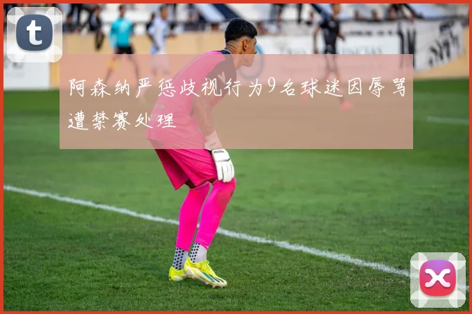 阿森纳严惩歧视行为9名球迷因辱骂遭禁赛处理